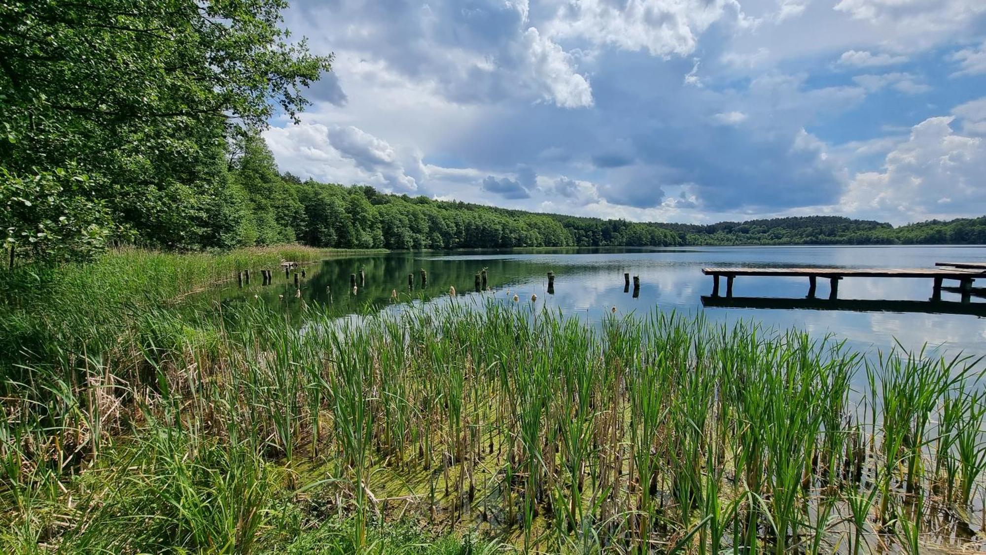 Osrodek La La Las - Domki Letniskowe W Lesie Nad Jeziorem Bytnica Exterior foto